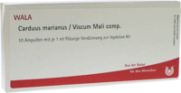 CARDUUS MARIANUS/VISCUM mali comp.Ampullen