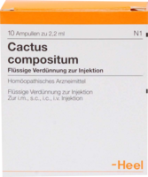 CACTUS COMPOSITUM Ampullen