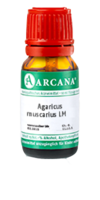 AGARICUS MUSCARIUS LM 60 Dilution