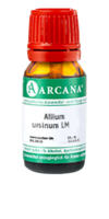 ALLIUM URSINUM LM 17 Dilution