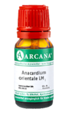 ANACARDIUM ORIENTALE LM 8 Dilution