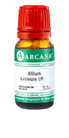 ALLIUM SATIVUM LM 16 Dilution