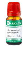 ANTHOXANTHUM odoratum LM 60 Dilution