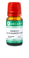 APOCYNUM ANDROSAEMIFOLIUM LM 13 Dilution